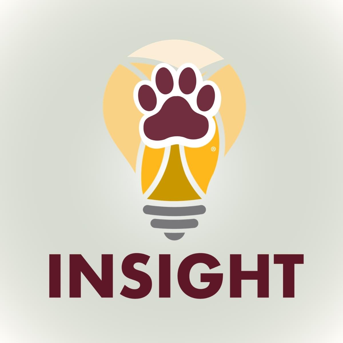 Insight Program Logo on a gradient grey-to-white background.
